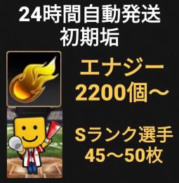 ⭐︎24H自動発送⭐︎ 初期垢
