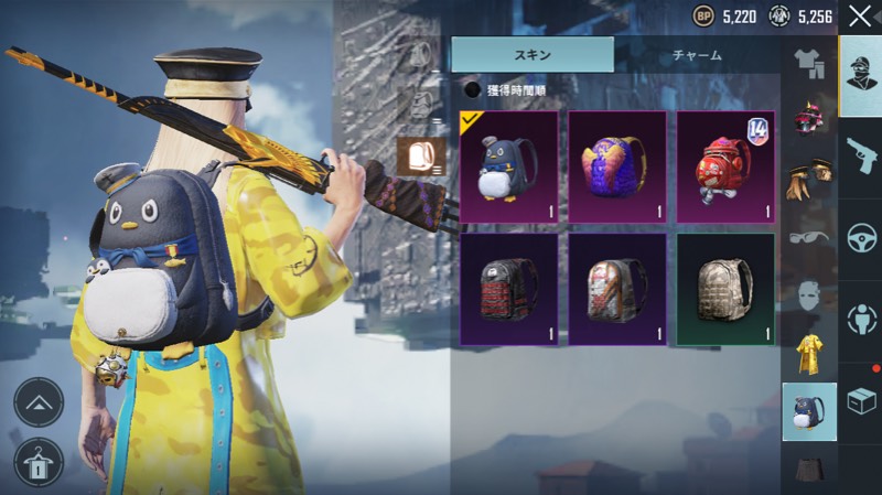 出品画像
