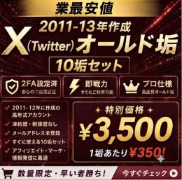 【🔥業界最安値🔥】10垢3500円｜2011~13年作成𝕏プロ仕様オールド垢  2FA設定