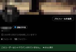【Xアダアフィ/裏垢女子/夜職等】 ALL日本人1万人 月2,000万インプ OLDアカウント