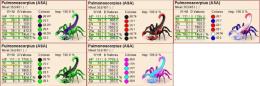 Pulmonoscorpius---長期更新です--100%imp