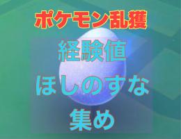 【迅速対応】経験値やほしのすな集め　ポケモン乱獲