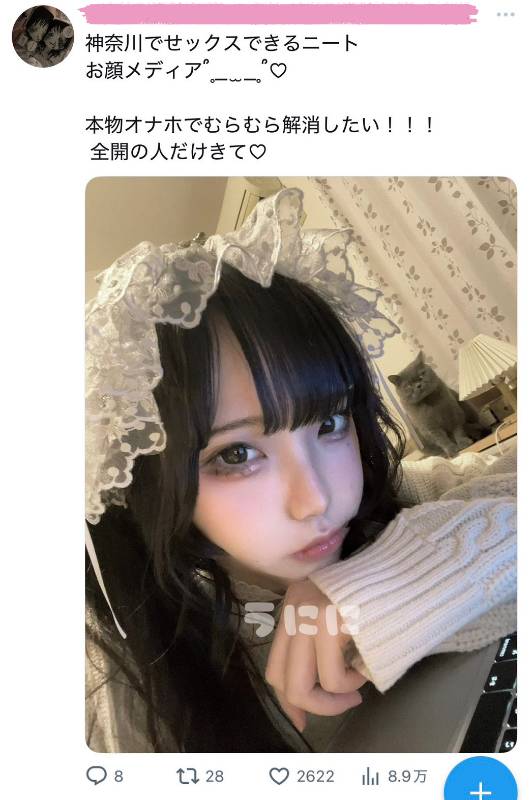 出品画像