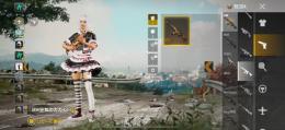 廃課金垢 AKMカカシなどレアスキン多数