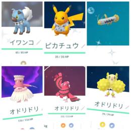 色違いかりゆしピカチュウ♂ イワンコ 通常かりゆしピカチュウ♂♀ オドリドリ アカウント販売