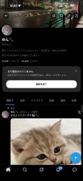 【高アクティブアカウント】