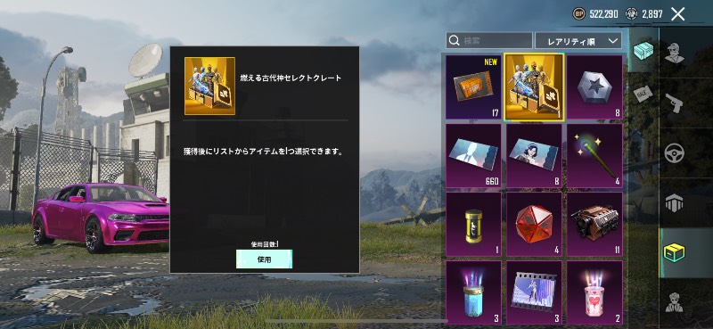 出品画像