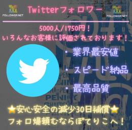【業界最安値・最速】Twitterフォロ爆　5000人　高品質　減少30日補償　⭐︎増加動画あり⭐︎