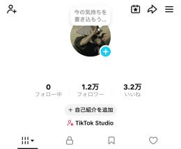 【収益化済み💰】フォロワー数1万↑いいね数3万↑TikTokアカウント