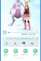 【TL53】レイドパス70枚⬆️色背景ザシアンその他最強ポケモン多数