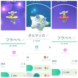 東京産色違いガラルダルマッカ 通常フラベベアカウント販売