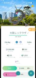 レックウザ　色違い　大阪背景