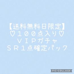 ♡送料無料日限定：🐶パック♡　ＶＩＰガチャＳＲ確定福袋【合計１００点入り】