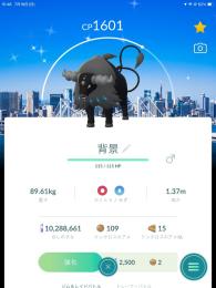 Goフェス東京2026 背景色違いケンタロス(パルデア)