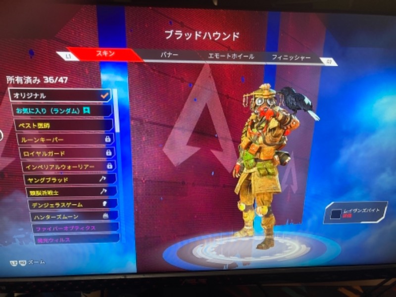 出品画像
