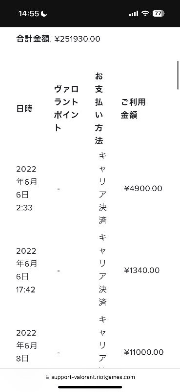 出品画像