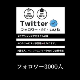 SALE‼️即日納品🙆🏻‍♀️『多国籍🇺🇸』3000フォロワー👤 増加✨