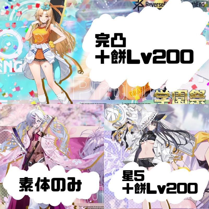 出品画像