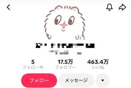 【最高月収219万】フォロワー17.5万人/動画付き