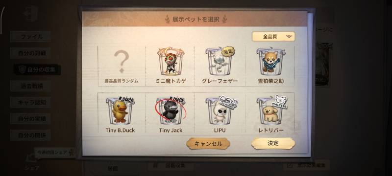出品画像