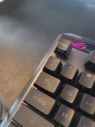 item-koutei