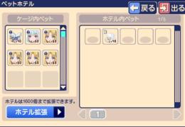 フィーロ４体、羽２種　♀アカウント