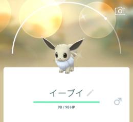 ✨国内捕獲✨色違い捕獲代行
