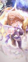 引退 アニススター 完凸限定コス所持 千束完凸等