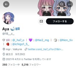 🇯🇵日本人フォロワー5,216人の低人数垢🇫🇲 フォロ爆なし気取り垢【🌸実績500件↑🌸】