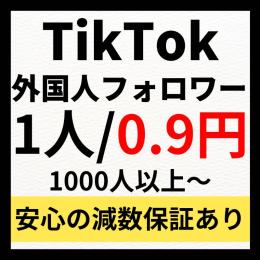 高品質TikTok外国人フォロワー1000人増加代行