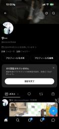 フォロワー229人、ポスト 3000以上 2024年4月〜シャドウバン無し