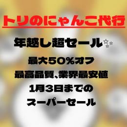 【年越しセール実施】にゃんこ大戦争 アイテム補充