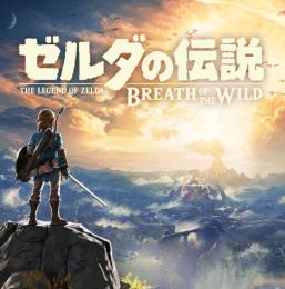 ニンテンドーアカウント　ソフトタイトル28本