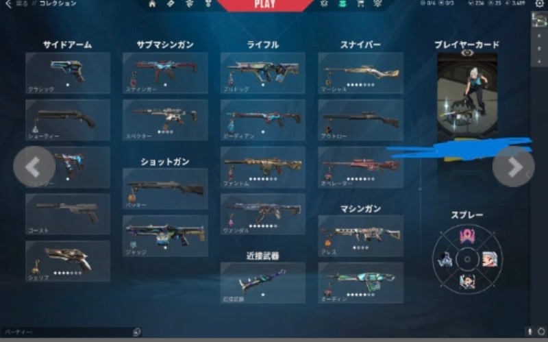出品画像