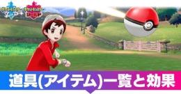 全道具組み合わせ自由　30点600円　　金冠　特性パッチ　くちたけん　コンペボール　サファリボール