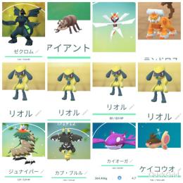 色違いアイアント カミツルギ東京産リオル4体＆ゼクロム＆ランドロス通常リオル27メラルバ