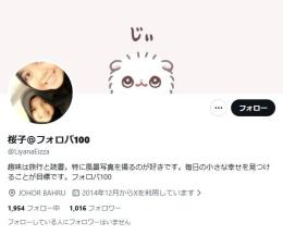 【高アクティブ OLD垢】日本人フォロワー1016人 Noシャドウバン 気取り垢 自動納品 即納品