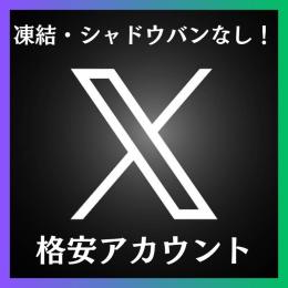 【リピーター様多数！】日本人フォロワー500人アカウント！実績を作りたいので格安で販売します！