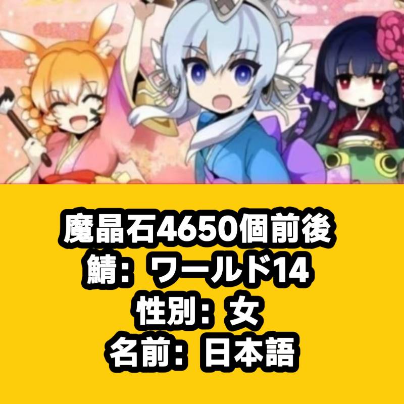 出品画像