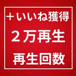 再生回数 2万回 増加〈365日間保証〉〈いいね付き〉〈増加速度◎〉〈収益化◎〉