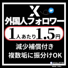 【✨最安値✨1人あたり1.5円】Twitter多国籍フォロワー・OLD垢350円〜販売