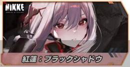 紅蓮：ブラックシャドウ+石60000個+高級チケ450枚+通常チケ160枚+SSR15体