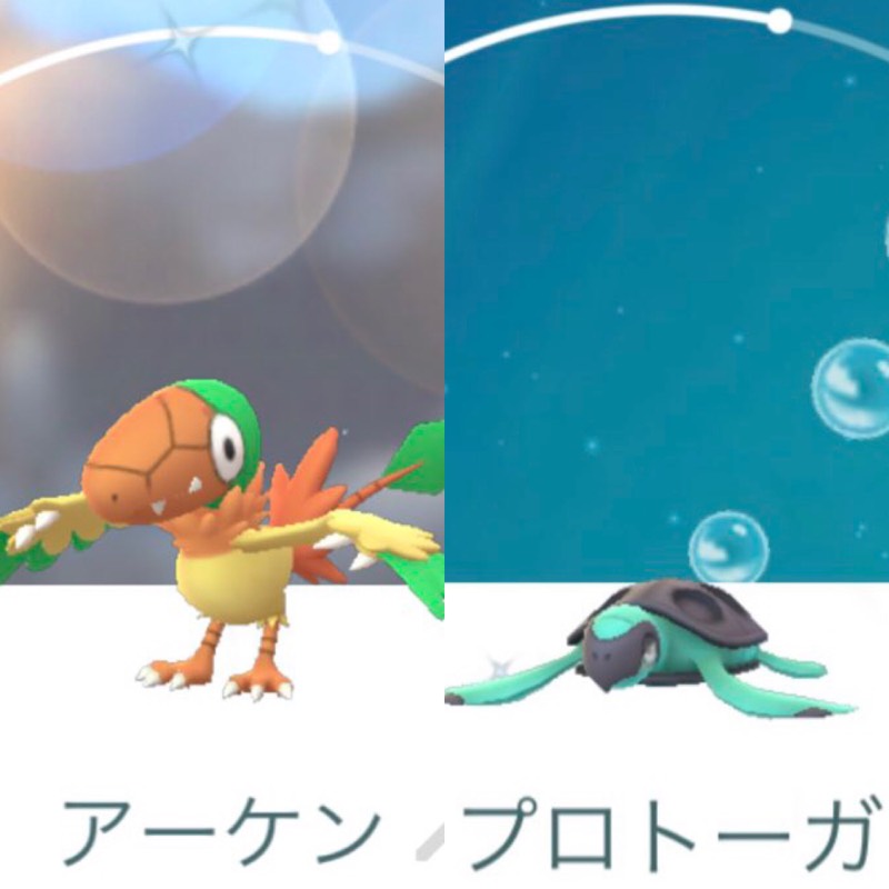 色違い アーケン プロトーガ キバコ グラシデア花ピカチュウ他も ポケモンgo ゲームクラブ 色違い アーケン プロトーガ キバコ グラシデア花ピカチュウ他も ポケモンgo ゲームクラブ