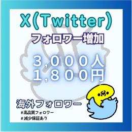 𝕏（Twitter）の多国籍フォロワー＋3000人増やします！【減少保証付】