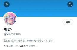 フォロワー 400↑ Twitter アカウント 気取り垢 シャドウバンなし 