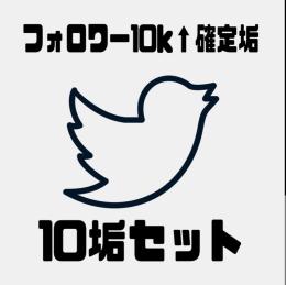 フォロワー1万人以上確定 気取り垢 ✖️10