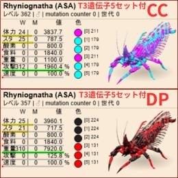 ASA公式PVE リニオグナタ 重量301 🎁特典あり