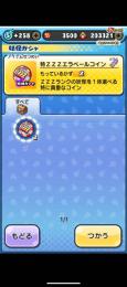 特ZZZエラベールコイン２枚　垢