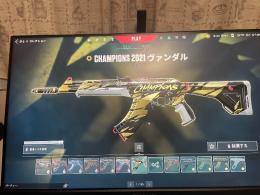 champion2021有