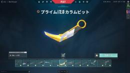 VALORANT 引退 アカウント スキン大量 限定あり